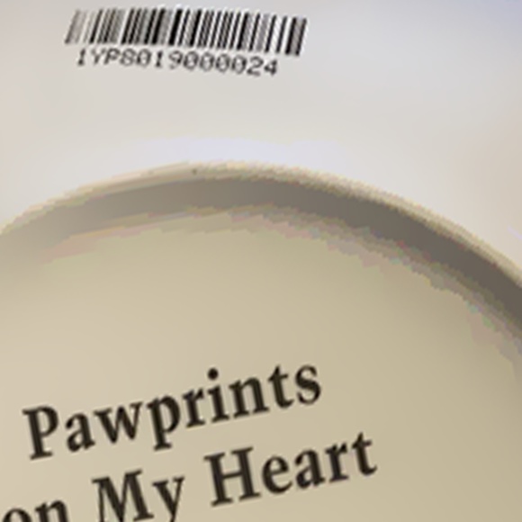Pawprints On My Heart Plate from the Cherished Dachshunds Collection - Black Tan - Picture 6 of 6